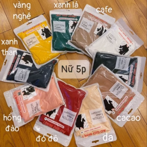 Combo 5 Áo Giữ Nhiệt Nữ Cổ 5P Cotton Hàng Made In Việt Nam Size Xl