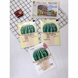 Quần Tất Xương Rồng Cao Cấp, Siêu Dai Dành Cho Bạn Nữ - Chipxinhxk