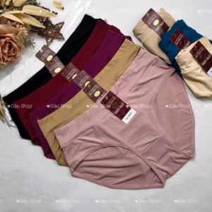 Quần Lót Nữ Thun Lạnh Cao Cấp Thiên Phát - Dâu Shop