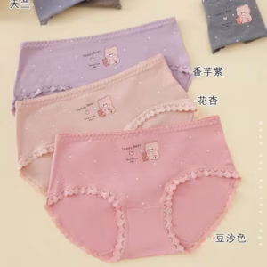 Quần Lót Chất Cotton Cao Cấp Siêu Phẩm Mát Dễ Thương 8642 Từ 40-55Kg Dành Cho Nữ