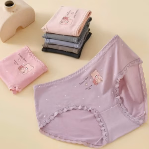 Quần Lót Chất Cotton Cao Cấp Siêu Phẩm Dễ Thương 8642 Từ 40-55Kg Dành Cho Nữ