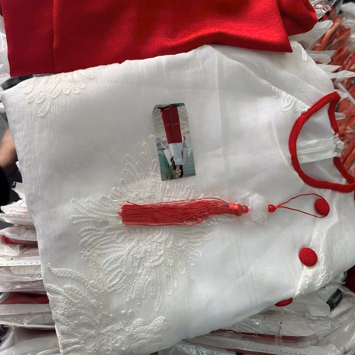 Set Đồ Nữ Áo Gấm Thêu Hạc Cổ Tròn Phối Quần Tuyết Nhung Tp10 - Golden Dream - Ảnh 5