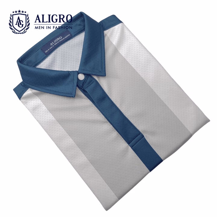 Áo Polo Dài Tay Nam, Áo Thun Dài Tay Aligro Có Cổ Họa Tiết Xanh Kẻ Sọc, Co Giãn Cao Cấp, Vải Mềm Mịn Thoáng Mát Algapd068 - Ảnh 4