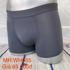 Quần Lót Nam Wh065 -Whte Horse