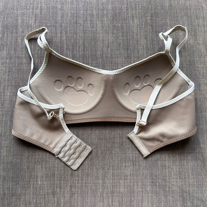 Áo Lót Siêu Mịn Siêu Đẹp Size 34-38 Dành Cho Nữ - Ảnh 16