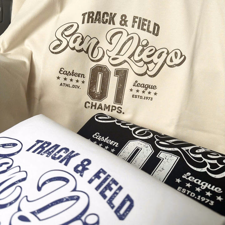 Áo Thun Cổ Tròn Thiết Kế Cao Cấp Sandiego Chất Cotton- Thời Trang Hc - Ảnh 4