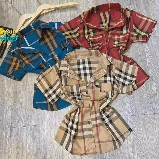 Sơ Mi Buberry - Lê Phương Boutique - Ảnh 4