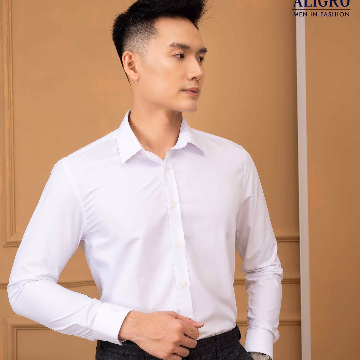 Áo Sơ Mi Slimfit Dài Tay Trắng Trơn - Aligro - Ảnh 5