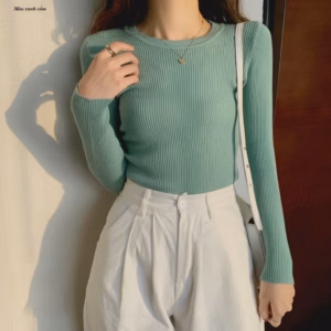 Áo Len Cổ Tròn Dài Tay - Chipxinhxk