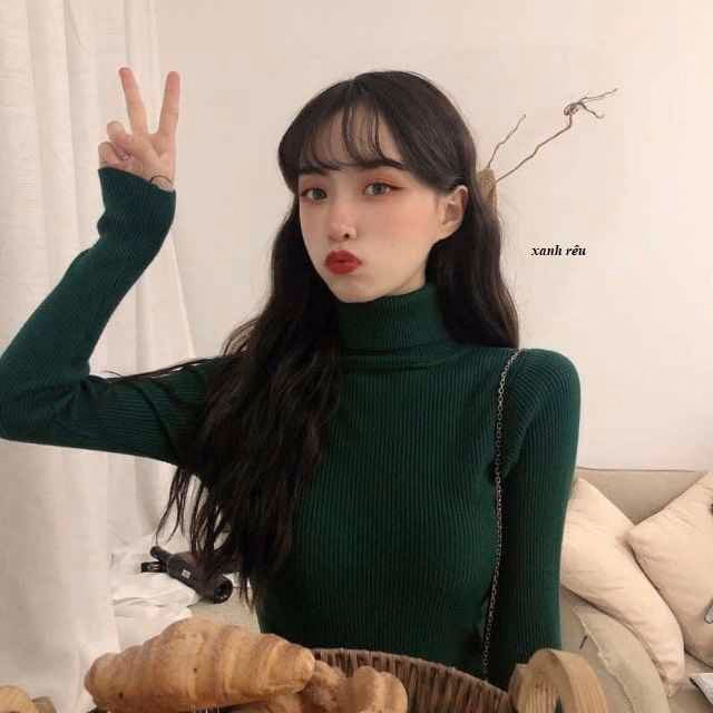 Áo Len Cổ Lọ Dài Tay Chất Đẹp - Diepchi Fashion - Ảnh 4