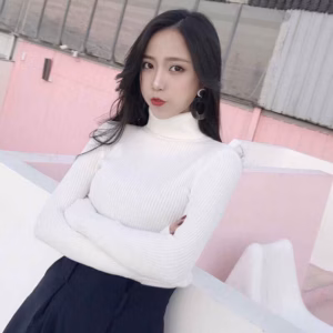 Áo Len Cổ Lọ Dài Tay Chất Đẹp - Diepchi Fashion