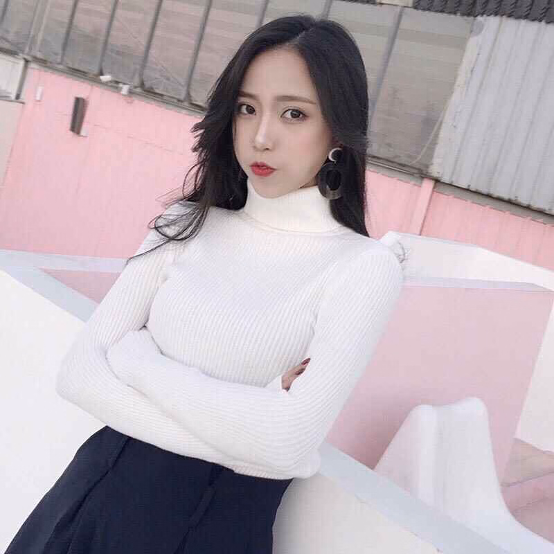 Áo Len Cổ Lọ Dài Tay Chất Đẹp - Diepchi Fashion