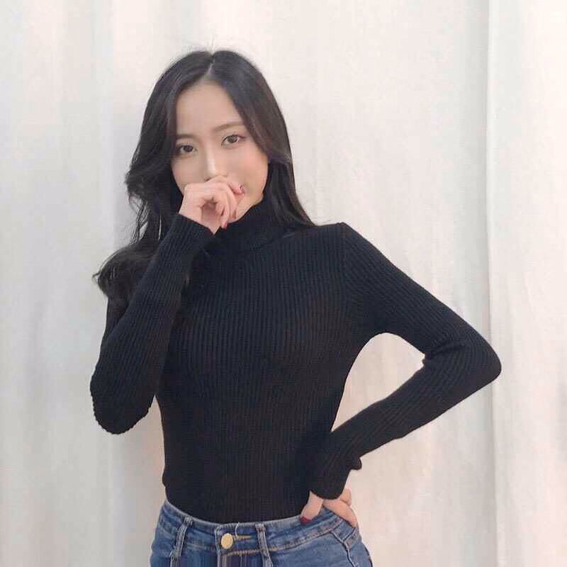 Áo Len Cổ Lọ Dài Tay Chất Đẹp - Diepchi Fashion - Ảnh 2