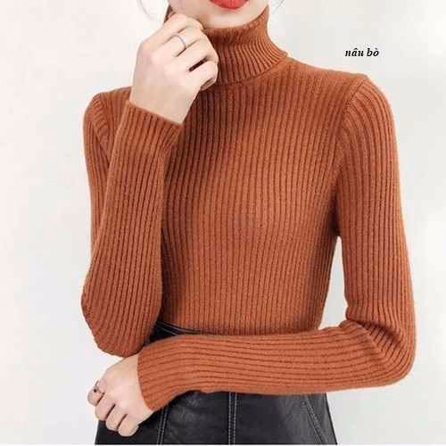 Áo Len Cổ Lọ Dài Tay Chất Đẹp - Diepchi Fashion - Ảnh 9