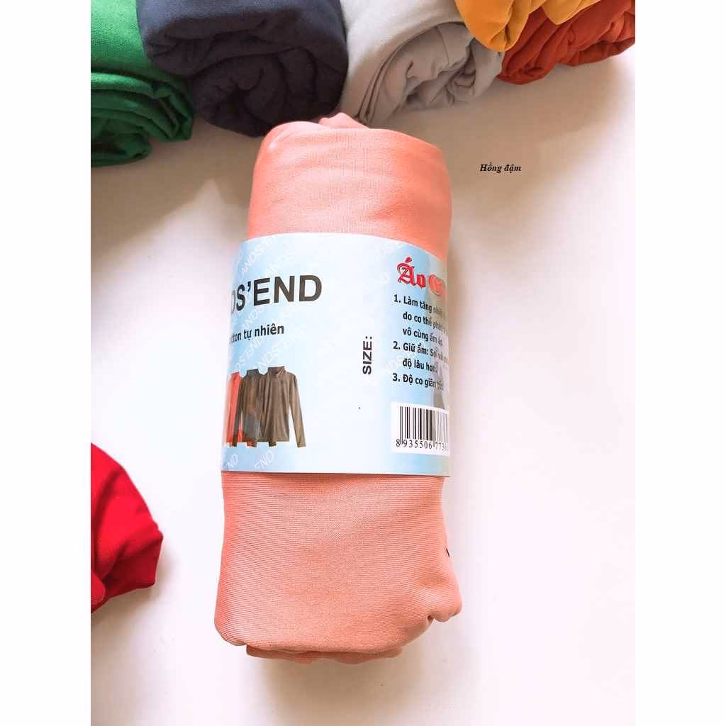 Áo Giữ Nhiệt Nữ Dài Tay Cổ Cao 3Cm Giữ Ấm Cơ Thể - Diepchi Fashion - Ảnh 8