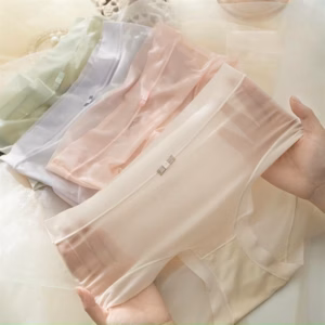 Set 5 Quần Lót Nữ Tàng Hình Lụa Băng - Quần Chip Nữ Cạp Cao - Vanass