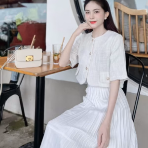 Set Đầm Dự Tiệc Sang Chảnh Dáng Dài Xếp Ly V525 - Haka Mây