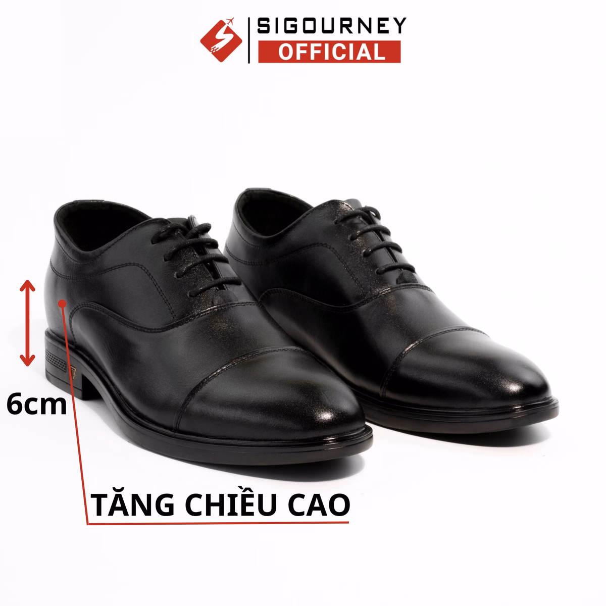 Giày Nam Tăng Chiều Cao 6Cm Sig-33 - Sigourney