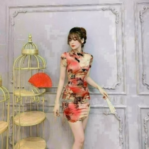 Đầm Sườn Xám Ôm Body Tay Ngắn Chất Thun Dẻo In 3D T345 - Lisa