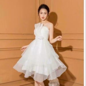 Đầm Cup Ngực 3 Tầng Dáng Xoè Chất Lưới 3 Lớp V174 - Cloudy Dress