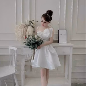 Đầm Tapda Có Nơ Dáng Xòe Tiểu Thư V270 - Cloudy Dress