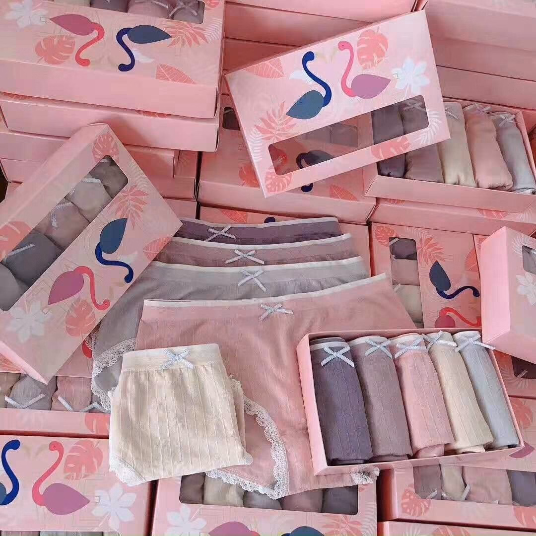 Set Quần Lót 5 Màu Thiên Nga - Minh Ngọc