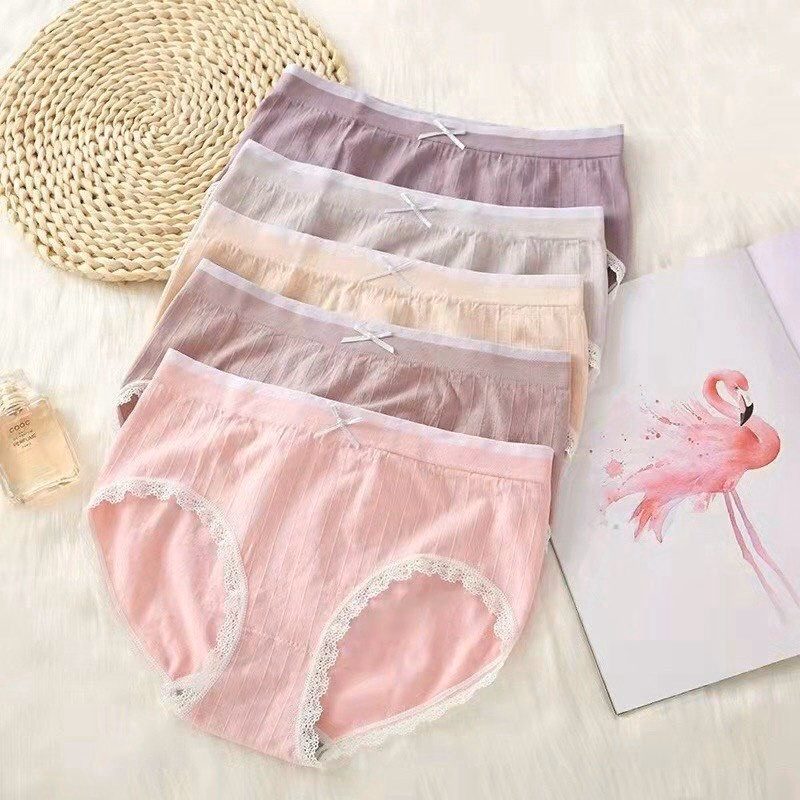 Set Quần Lót 5 Màu Thiên Nga - Minh Ngọc - Ảnh 3