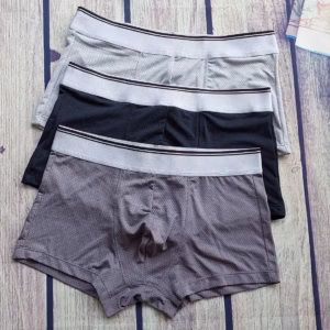 Quần Lót Nam Wh009 White Horse