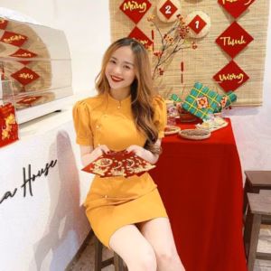 Đầm Nữ Thiết Kế Cổ Tàu Tay Bồng Đính Cườm Dáng Chữ A Ôm Eo Tôn Dáng V111 - Aine