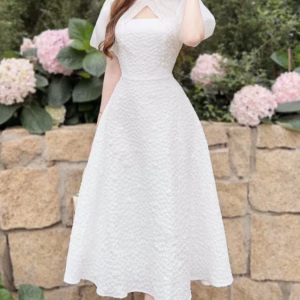 Đầm Gấm Xốp Tay Voan Đính Cườm (Có Mút) V977H - Aine