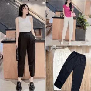 Quần Baggy Cạp Chun Nắp Túi Sau Form Chuẩn Chất Đẹp Sldcq95 - Diepchi Fashion