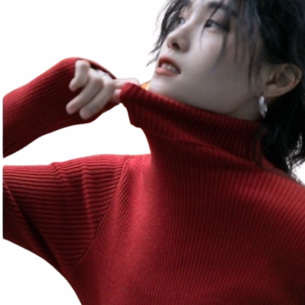 Áo Len Cổ Lọ Chất Len Lông Cừu Mềm Mại Cho Bạn Nữ Slcxa59 - Chipxinhxk - Ảnh 5