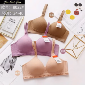 Áo Ngực Bra Đẹp Quyến Rũ Size Từ 36-40 Dành Cho Nữ